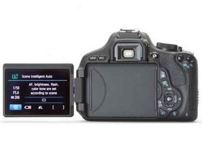高性價(jià)比之選 人氣入門(mén)級(jí)單反相機(jī)推薦